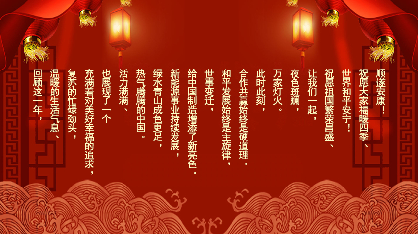 赛德美祝您新年快乐！万事如意！